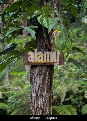 Schild umgeben von Blättern, das den Tetebatu-Wasserfall in Tetebatu in East Lombok, West Nusa Tenggara, Indonesien, im Februar 2025 anzeigt Stockfoto