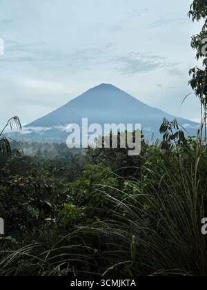 Rices Fields mit dem Vulkan Mount Agung im Hintergrund auf Bali, Februar 2025 Stockfoto