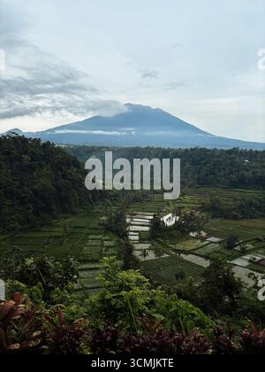 Rices Fields mit dem Vulkan Mount Agung im Hintergrund auf Bali, Februar 2025 Stockfoto