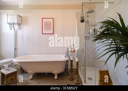 Modernes Bad mit Badewanne und Duschkabine mit Naturelementen und gemütlichem Design Stockfoto