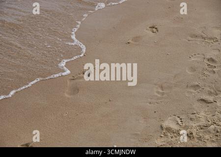 Ruhige, schaumige Meereswellen, die über einen Sandstrand mit sichtbaren menschlichen Fußabdrücken schweben, bieten Kopierraum in der oberen rechten Ecke. Kopierbereich Stockfoto