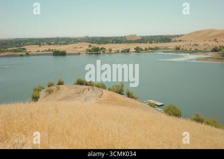 Goldene grasbewachsene Hügel von Contra Loma in den East Bay Regional Parks, Kalifornien, gefangen unter klarem Himmel und weichem Licht. Stockfoto