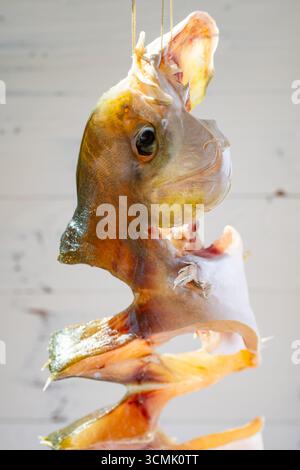 Rohe Fische, getrocknet auf einem Balkon vertikale Komposition Stockfoto