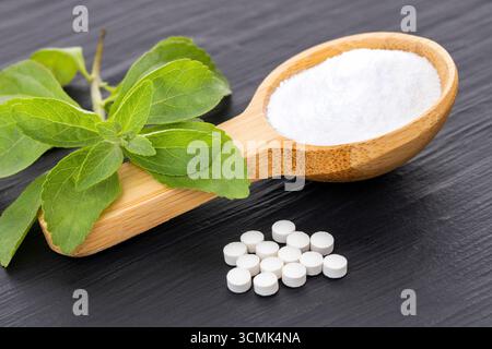 Stevia rebaudiana – natürliches Süßungsmittel aus der Steviapflanze Stockfoto