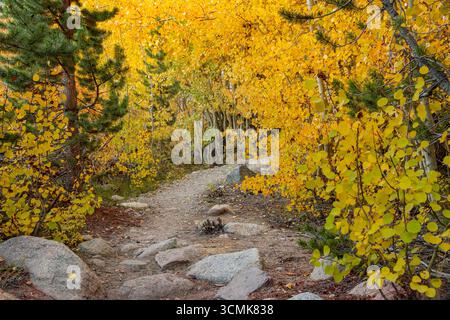 Der Beginn des Wanderweges entlang der Südwestseite des Lake Sabrina während der Herbstfarben. Stockfoto