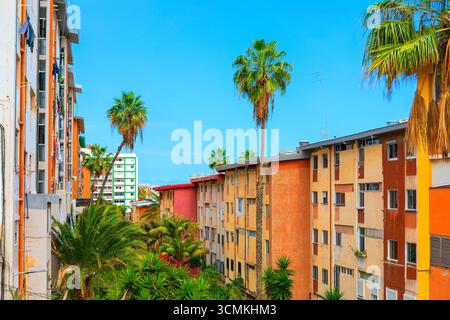 Hohe Palmen ragen zwischen Reihen farbenfroher Wohnhäuser unter dem Himmel. Die Szene fängt ein urbanes Viertel mit atlantischem Charme ein Stockfoto