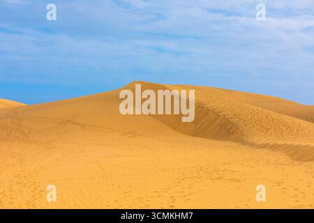 Wüstendünen unter blauem Himmel. Der Wind hat Wellen und scharfe Grate auf der Sandoberfläche erzeugt. Fußspuren markieren einen Pfad über die goldene Sanddüne Stockfoto