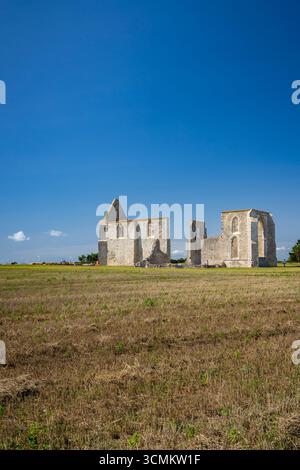 Antike Ruinen der Abtei Notre Dame de Re in La Flotte, Ile de Re, Charente Maritime, Frankreich, im Sonnenlicht getaucht Stockfoto