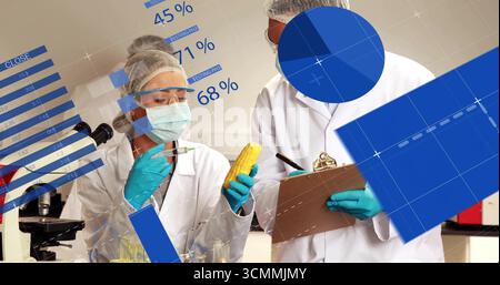 Zwei Wissenschaftler mit Handschuhen, die Maisprobe im Labor injizieren, mit Spritze und Datenüberlagerungen Stockfoto
