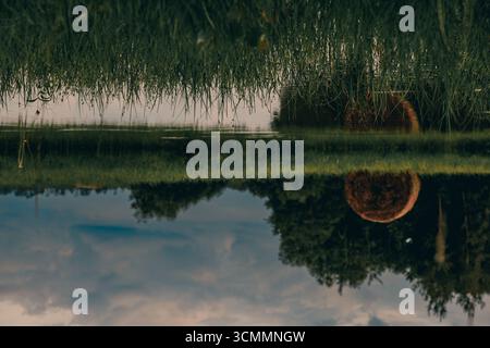 Überflutete Wiesen mit grünem Gras und Heuhaufen am Sommerabend. Ländliche Landschaft Stockfoto