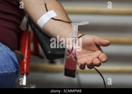 Details zur geringen Schärfentiefe (selektiver Fokus) mit der Hand eines Mannes, der Blut spendet. Stockfoto