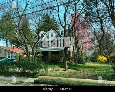 Jenkintown, Pennsylvania, USA - 01. April 2025: Außenansicht eines Hauses, eingebettet zwischen Bäumen und Blumen in einer vorstädtischen Umgebung Stockfoto
