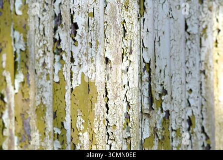 Abblätternde Farbtexturen an einer Wellblechwand entlang des wunderschönen Basingstoke Canal in Surrey Stockfoto
