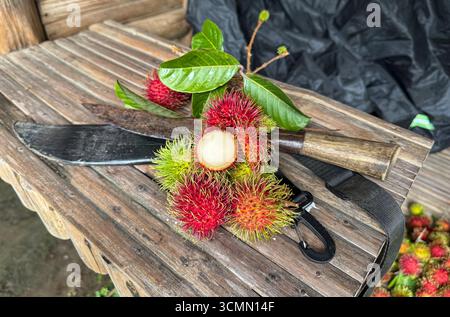Rosario, Provinz Batangas, Philippinen. September 2025. Frische Rambutan-Früchte, die während des Südwestmonsuns geerntet wurden, die lokal als habagat bekannt sind, werden mit einer offenen Frucht präsentiert, die ihr saftiges weißes Fleisch zeigt. Daneben befindet sich ein traditionelles Juckreiz, ein philippinisches Bolo-Messer, das von Landwirten häufig zum Schneiden von Zweigen und zur Ernte von Früchten verwendet wird. Rambutan wird in der Region Calabarzon extensiv angebaut und Forscher der Abteilung für Chemie und Lebensmitteltechnik der Batangas State University haben die mögliche Verwendung von Rambutan-Saatöl für die Biodieselproduktion untersucht.Credit: Kevin Izorce/Alamy Live News Stockfoto