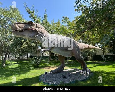 Realistisches Modell von Tyrannosaurus rex in einem Outdoor-Dinosaurierpark. Das riesige prähistorische Raubtier wird als lebensgroße Skulptur in der Natur dargestellt. Stockfoto