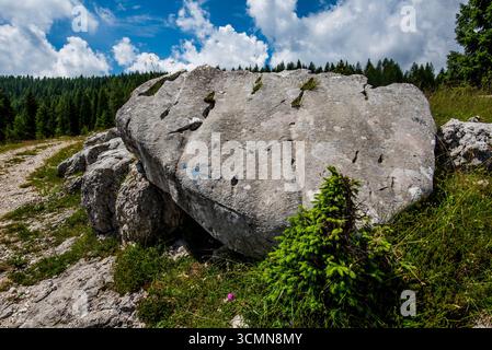 Großer Fels auf alpiner Wiese mit Nadelwald und bewölktem Himmel im Hintergrund. Konzept der Stärke, Dauerhaftigkeit, Wildnis und natürlichen Berge Stockfoto
