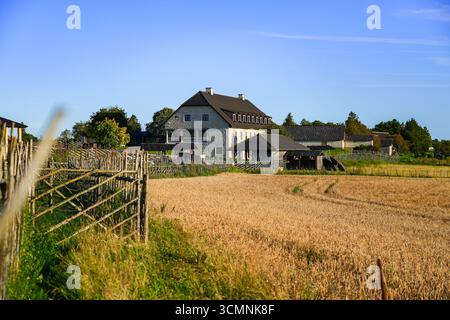 Bauernhaus im Angla Windmühlenpark auf der Insel Saaremaa, Estland - historisches ländliches Erbe und Wahrzeichen der baltischen Landschaft Stockfoto