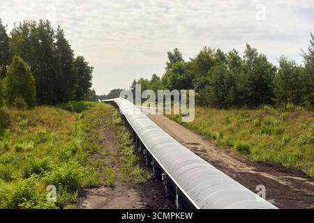 Ein überdachtes Förderband transportiert Braunkohle vom Tagebau Reichwalde zum Kraftwerk Boxberg in der Lausitz, Deutschland, 2025. Stockfoto
