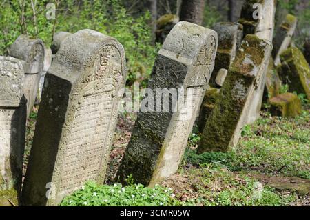 Reihe historischer jüdischer Grabsteine auf dem Friedhof Lesko, Polen. Stockfoto