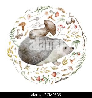 Igel umgeben von Waldelementen Aquarellillustration. Zeichnung eines Waldtiers mit Pilzen, Blättern und Beeren im Kreis für Babyeinladungen oder Grußkarten aus kindlichem Wald. Stockfoto