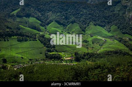 Teeplantagen Kerala, Indien. Wunderschöne Teegärten umgeben von Bergen ist ein touristischer Ort in Südindien, Kerala, Munnar. Stockfoto
