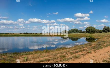 Getreidefelder von La dehesa de salamanca in spanien Stockfoto