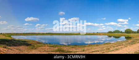 Getreidefelder von La dehesa de salamanca in spanien Stockfoto