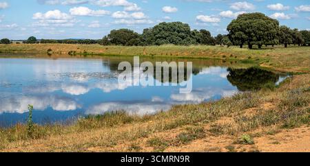Getreidefelder von La dehesa de salamanca in spanien Stockfoto