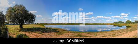 Getreidefelder von La dehesa de salamanca in spanien Stockfoto