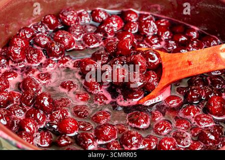 Zubereitung frisch gepflückter roter Kirschen mit Zucker zu Kirschmarmelade in einem Topf mit einem Holzlöffel, Nahaufnahme. Kochen Beeren Marmelade, hausgemachte Kekse Stockfoto
