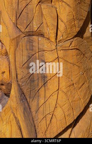Detaillierte Makroansicht von geschnitztem Holz mit Blattmotiven, sichtbaren Meißelspuren, Rissen und natürlichen warmen Orangetönen, ideal für Design, Hintergrund oder Kunst Stockfoto