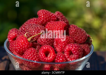 Frische, reife rote Himbeeren in einer Glasschale auf einem Holztisch im Garten, Nahaufnahme Stockfoto