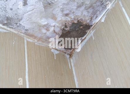 Feuchte Deckenecke mit Wasserflecken, Schimmel- und Putzschäden. Stockfoto