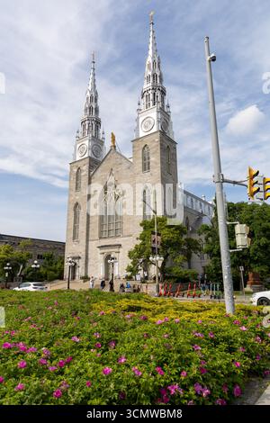 Ottawa, Kanada - 13. Juni 2025: Basilika Notre-Dame in der Innenstadt, historische katholische Kirche und Wahrzeichen der Hauptstadt Stockfoto