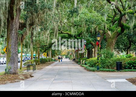 Savannah, GA, 28. Dezember 2023: Blick auf eine malerische Gasse im Forsyth Park im historischen Viertel Savannah, Georgia Stockfoto