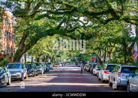 Savannah, GA, 28. Dezember 2023: Blick auf die historische Jones Street in Savannah, Georgia Stockfoto