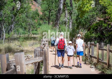 Familie genießt es, gemeinsam an einem sonnigen Tag in einem wunderschönen Naturpark zu wandern Stockfoto