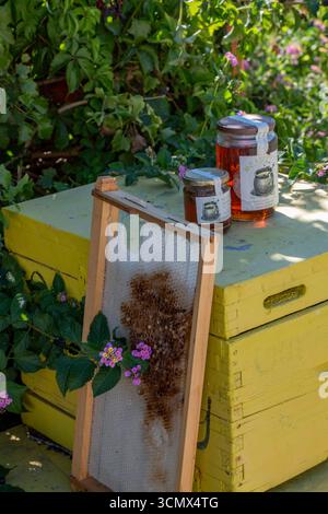 Gelber Holzbienenstock und Honigwabe mit Gläsern mit lokal hergestelltem Honig in einem traditionellen griechischen Geschäft auf Zakynthos. Stockfoto