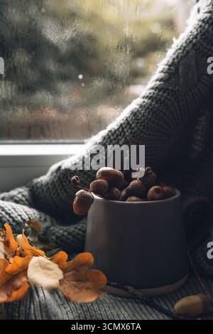 Gemütliches Stillleben im Herbst mit Eicheln in einer Tasse, verstreut auf Strickstoff, Eichenblättern und einem regnerischen Fenster, das eine warme, atmosphärische Atmosphäre schafft Stockfoto