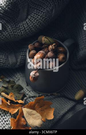 Nahaufnahme einer einzelnen Eichel vor einer mit Eicheln gefüllten Tasse, die Texturen und warme Herbsttöne in einem gemütlichen Stillleben hervorhebt. Stockfoto