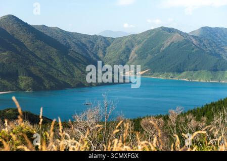 Blick aus der Vogelperspektive auf das ruhige Inlet, umgeben von üppigen grünen Hügeln im Queen Charlotte Sound, Marlborough Sounds, Neuseeland Stockfoto
