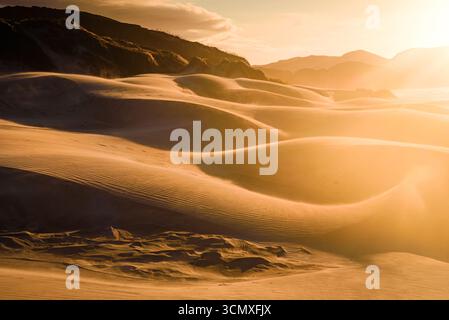 Abendlicht wirft lange Schatten auf geformten Sanddünen am Wharariki Beach in der Nähe von Cape Farewell, Südinsel, Neuseeland Stockfoto