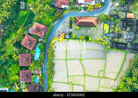 Aus der Vogelperspektive auf eine gewundene Straße durch Reisfelder und traditionelle ländliche Häuser, Ubud, Bali, Indonesien Stockfoto