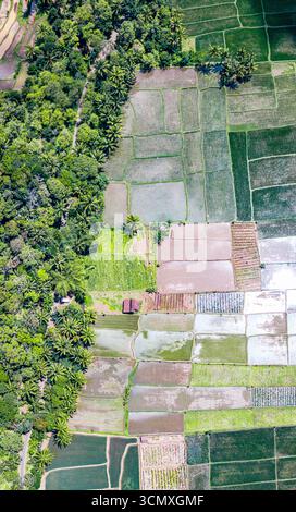 Rundblick auf bunt gemusterte Reisterrassen und Palmen, Bali, Indonesien Stockfoto