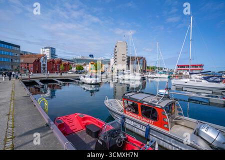 Blick auf Stavanger Marina Boote tagsüber, Stavanger, Norwegen Stockfoto
