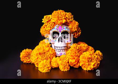 Dekorierter Schädel für die Feierlichkeiten zum Tag der Toten mit Cempasuchil Ringelblumen auf schwarzem Hintergrund. Mexikanisches Designkonzept Dia de Los Muertos. Stockfoto