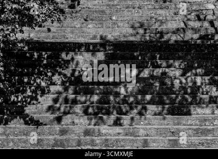 Konkrete Schritte mit Schatten von Baumzweigen – Sonnensonnendags-Geometrie. Einfarbige Farbtöne. Stockfoto