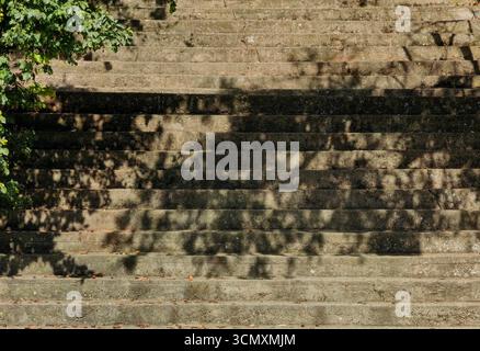 Konkrete Schritte mit Schatten von Baumzweigen – Sonnensonnendags-Geometrie. Stockfoto