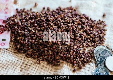 Roter sichuan-Pfeffer oder Pfeffer (auf Chinesisch als Huajiao bekannt) auf einem Markt in Chengdu, sichuan, China Stockfoto