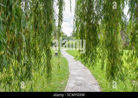 Ein Steinweg führt durch einen grünen Rasen, eingerahmt von herabhängenden Weidenästen. Bänke säumen den Gang und bieten Plätze zum Ausruhen. Stockfoto